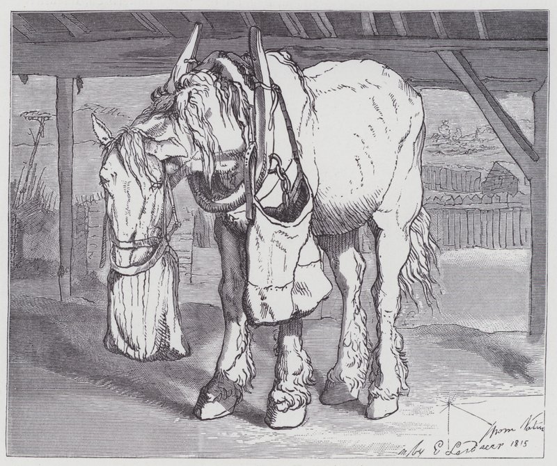 Egy szekér ló alkotó: Edwin (after) Landseer