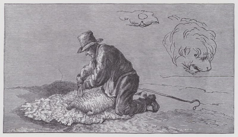 Birkanyírás alkotó: Edwin (after) Landseer