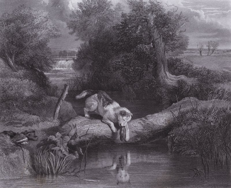 A kutya és az árnyék (metszet) alkotó: Edwin (after) Landseer