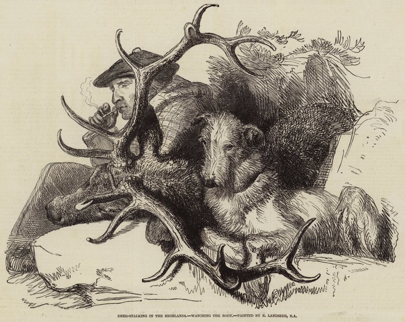 Szarvasvadászat a Felvidéken, a Testet figyelve alkotó: Edwin Landseer