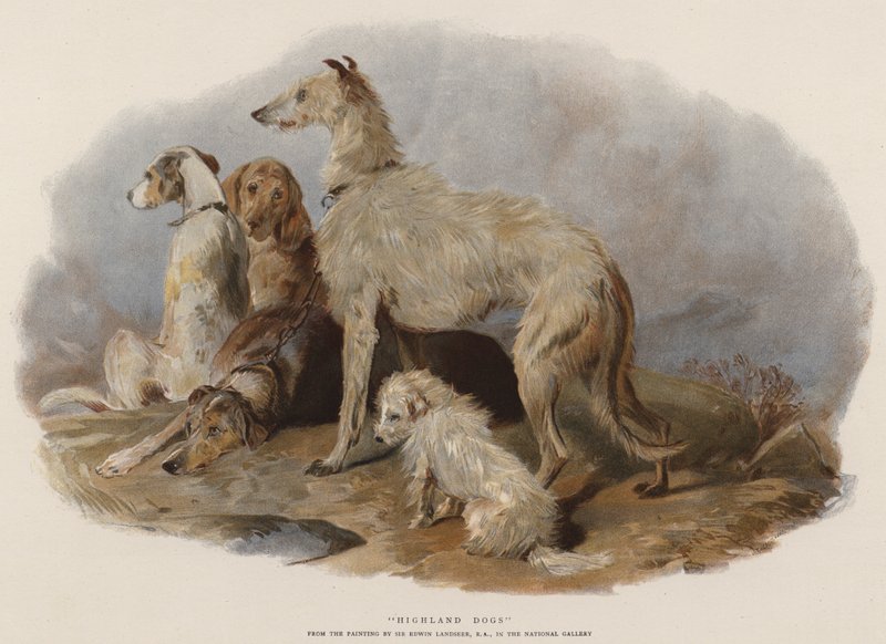 Felvidéki kutyák (chromolitho) alkotó: Edwin Landseer