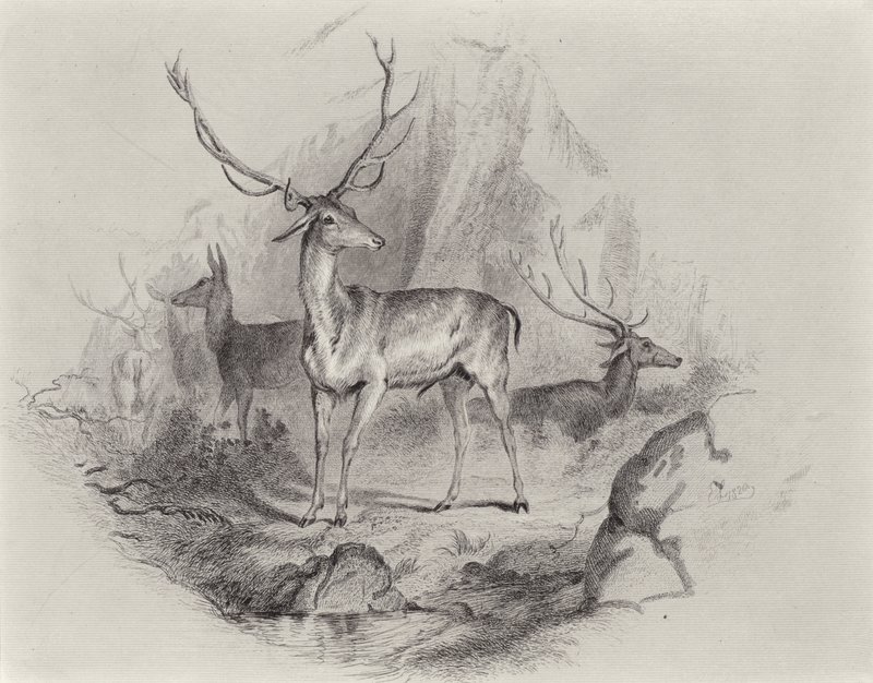 A Glenben alkotó: Edwin Landseer