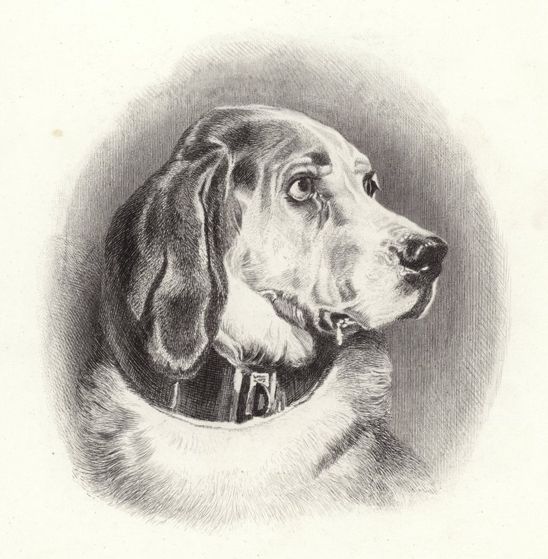 A véreb alkotó: Edwin Landseer