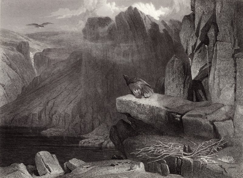 A sasfészek alkotó: Edwin Landseer