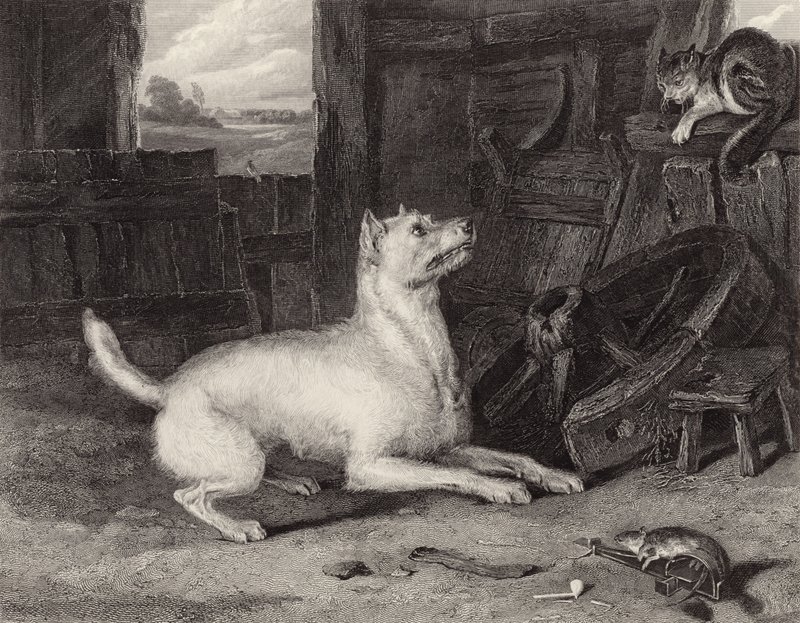 A Betolakodó alkotó: Edwin Landseer