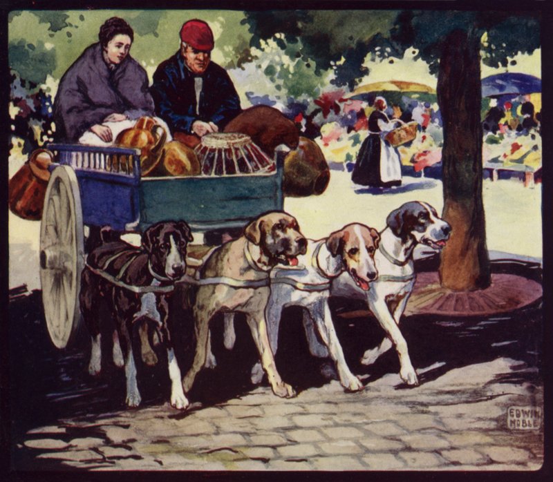 Egy francia kutyakocsi (színes litó) alkotó: Edwin Noble