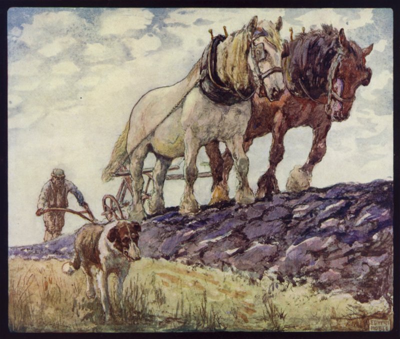 Angol szekér-lovak szántás (színes litho) alkotó: Edwin Noble