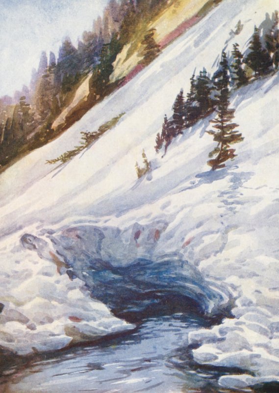 Svájc alkotó: Effie Jardine