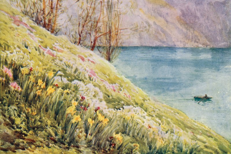 Svájc alkotó: Effie Jardine