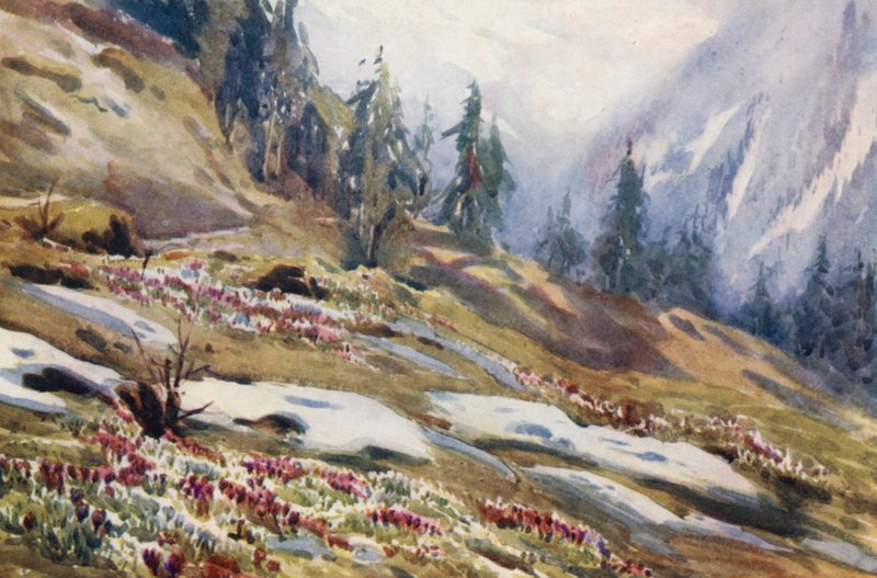Svájc alkotó: Effie Jardine