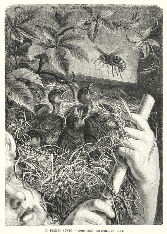 Az első rémület (litho) alkotó: Emil (after) Schmidt