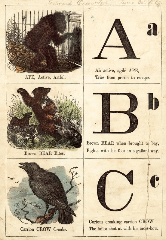 Kép ábécé alkotó: English School