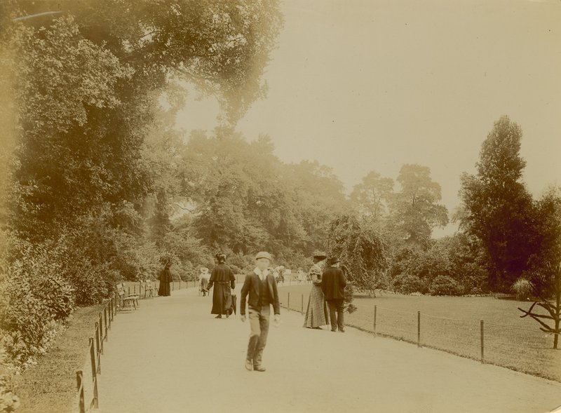 Brockwell Park, London alkotó: English Photographer