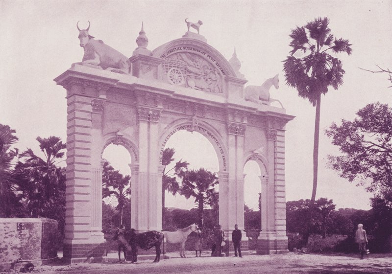 Állatkórház, Bombay alkotó: English Photographer