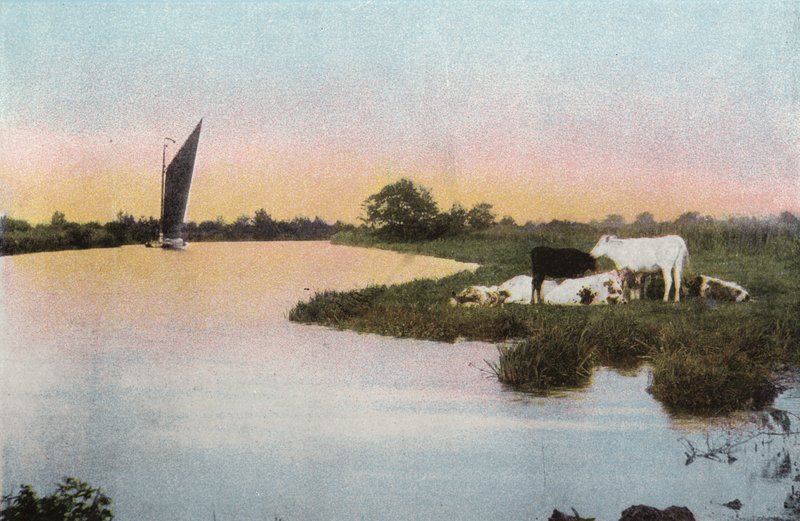 A Bure alkotó: English Photographer