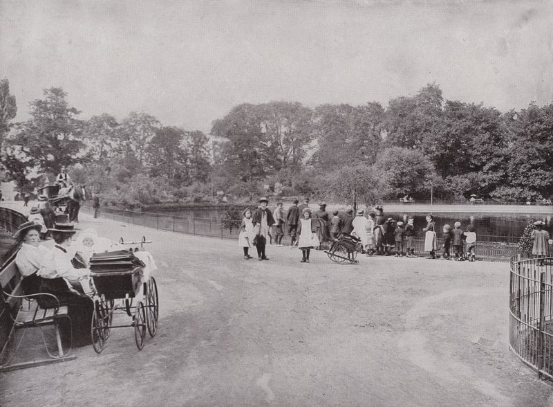 Peckham Park alkotó: English Photographer