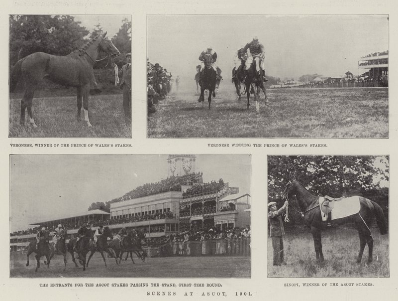 Jelenetek Ascotban, 1901 alkotó: English Photographer