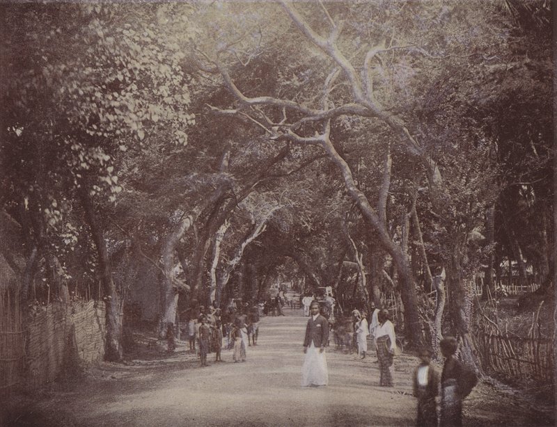 Skinners Road, Colombo (színes fotó) alkotó: English Photographer