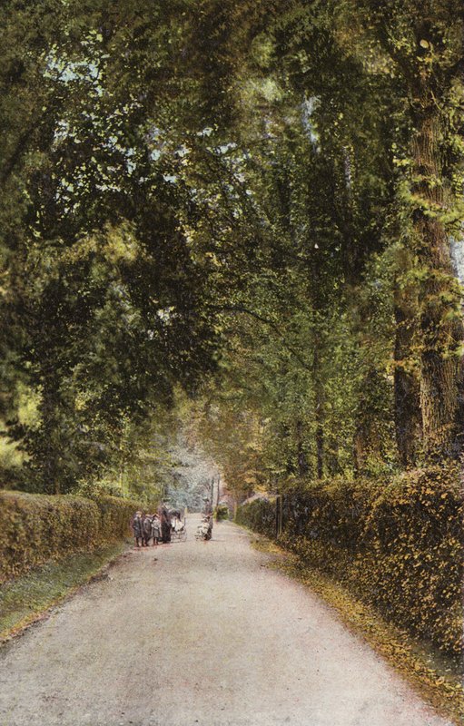 Spencer Road, Ryde alkotó: English Photographer