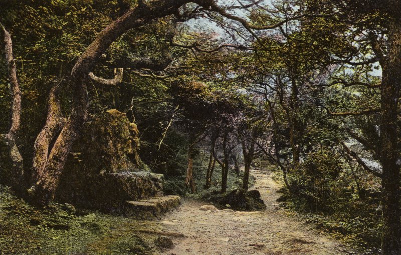Stone Seat, a földcsuszamlás alkotó: English Photographer