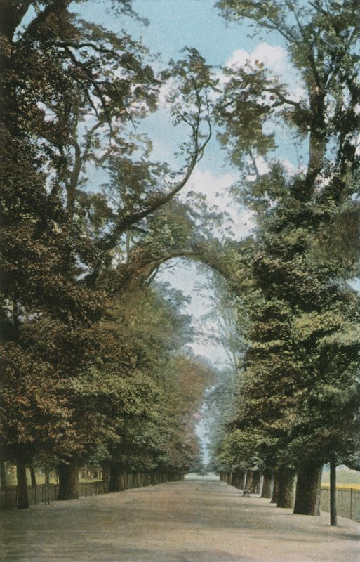A széles séta alkotó: English Photographer