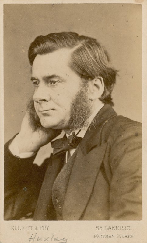 Thomas Henry Huxley alkotó: English Photographer