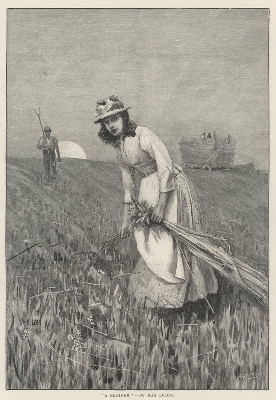 Gleaner (metszet) alkotó: English School