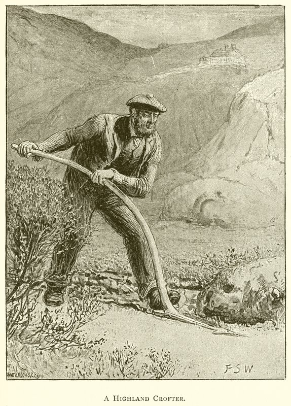 Felvidéki Crofter alkotó: English School