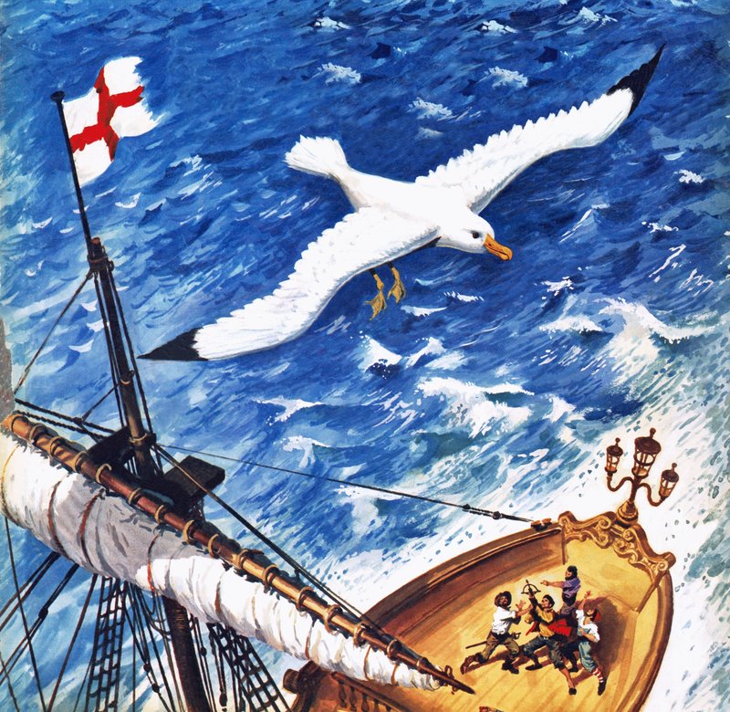 Albatrosz alkotó: English School
