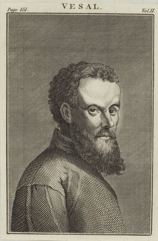 Andreas Vesalius alkotó: English School