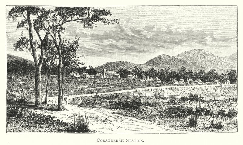 Ausztrália: Coranderrk állomás (metszet) alkotó: English School