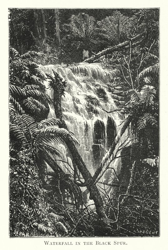 Ausztrália: Waterfall in the Black Spur (metszet) alkotó: English School