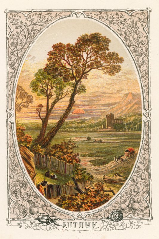 Ősz alkotó: English School