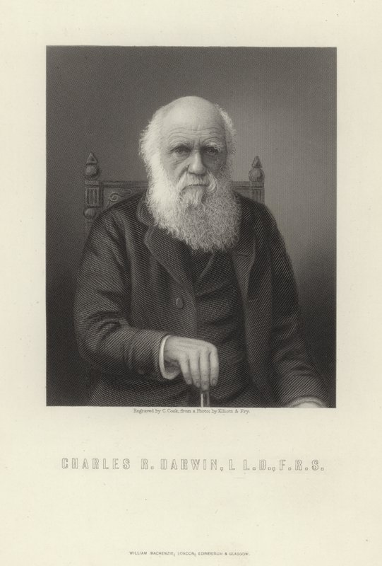 Charles R. Darwin alkotó: English School