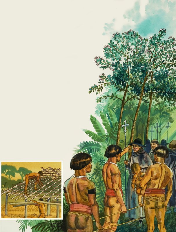 Cinchona fa alkotó: English School