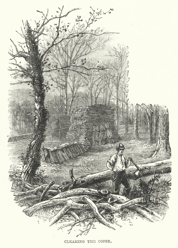 A hal kitisztítása (metszet) alkotó: English School
