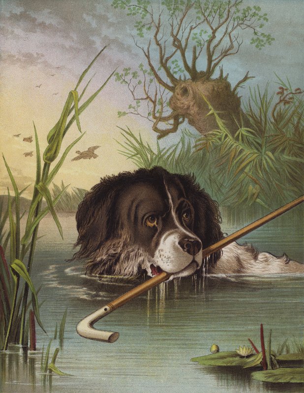 Clever Dash (chromolitho) alkotó: English School