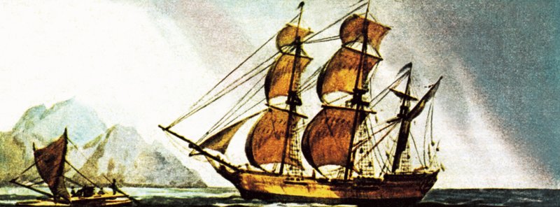 Cook állásfoglalása alkotó: English School