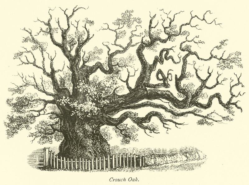 Crouch Oak alkotó: English School