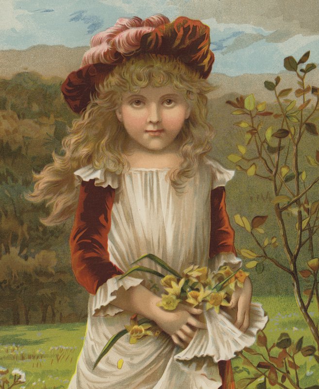 Daffo-down-dilly (chromolitho) alkotó: English School