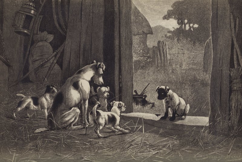 Kutya (chromolitho) alkotó: English School