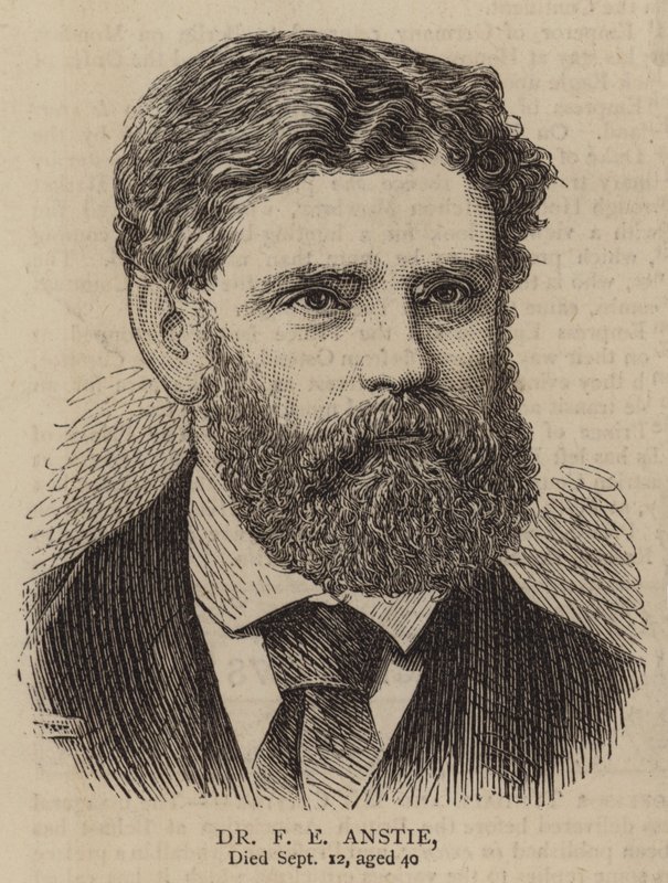 Dr F E Anstie (metszet) alkotó: English School