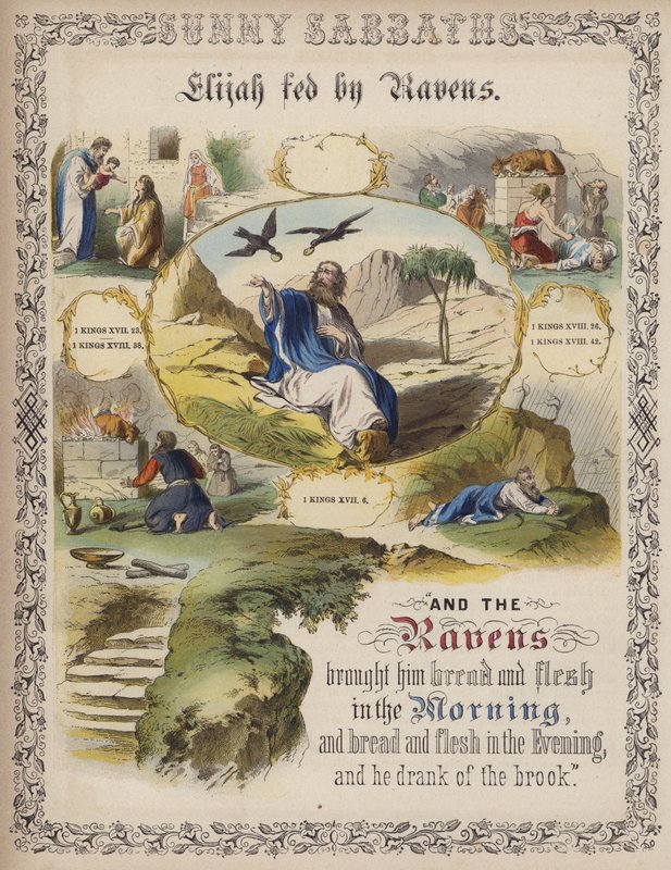 Illés hollók által táplálva (színes metszet) alkotó: English School