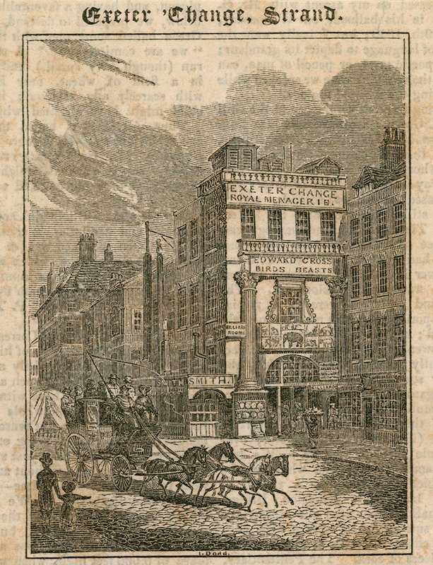 Exeter Change, The Strand, London alkotó: English School