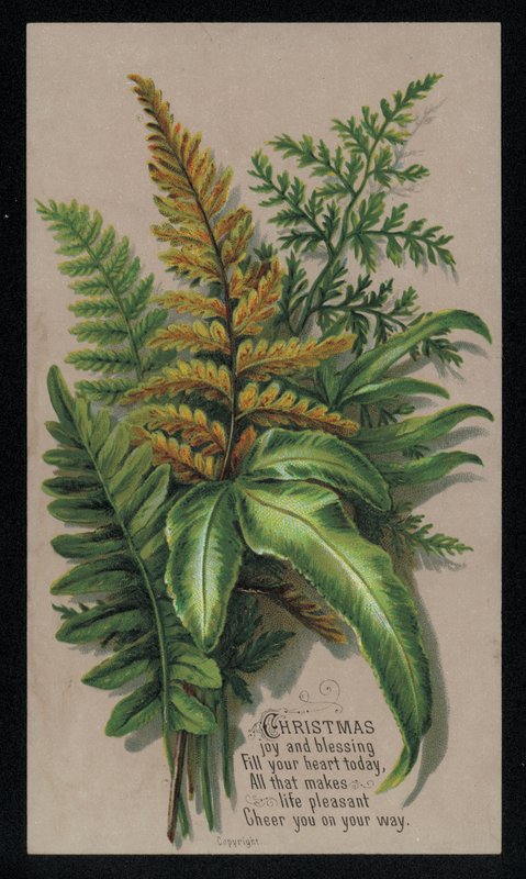 Ünnepi levél elrendezés, karácsonyi üdvözlőlap (chromolitho) alkotó: English School