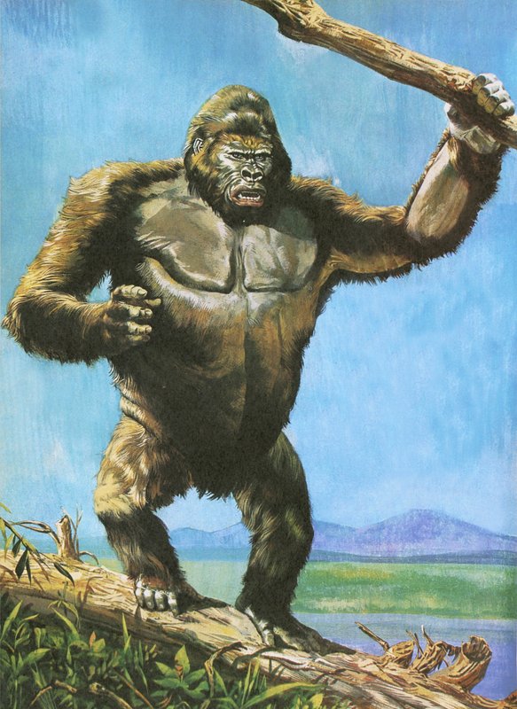Gorilla alkotó: English School