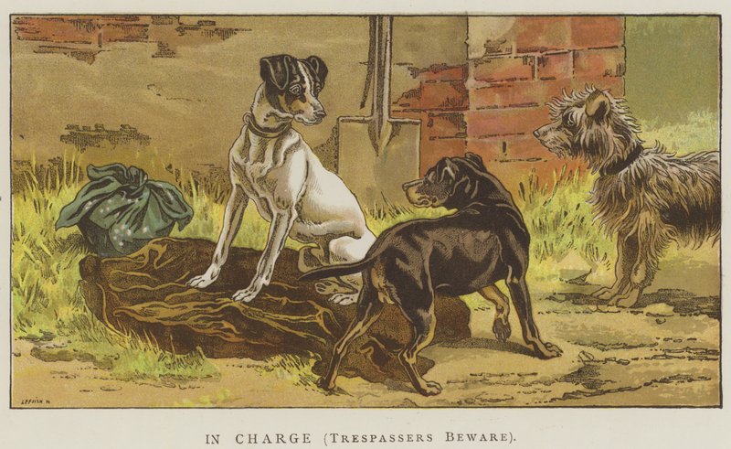 Felelős, behatolók vigyázzatok (chromolitho) alkotó: English School