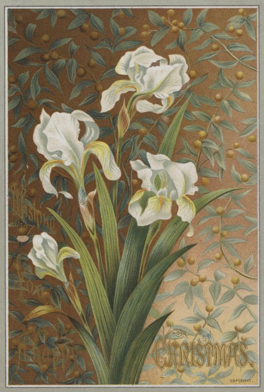 Írisz (chromolitho) alkotó: English School