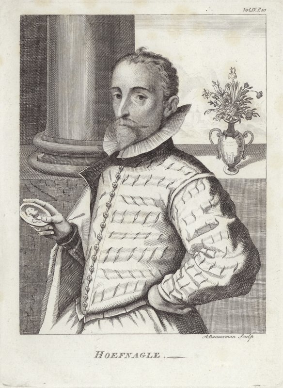 Joris Hoefnagel alkotó: English School