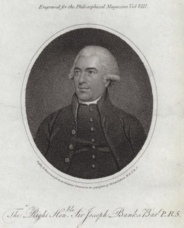 Joseph Banks alkotó: English School